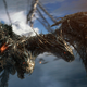 Yup, they fit a dragon in there. Twice in fact.